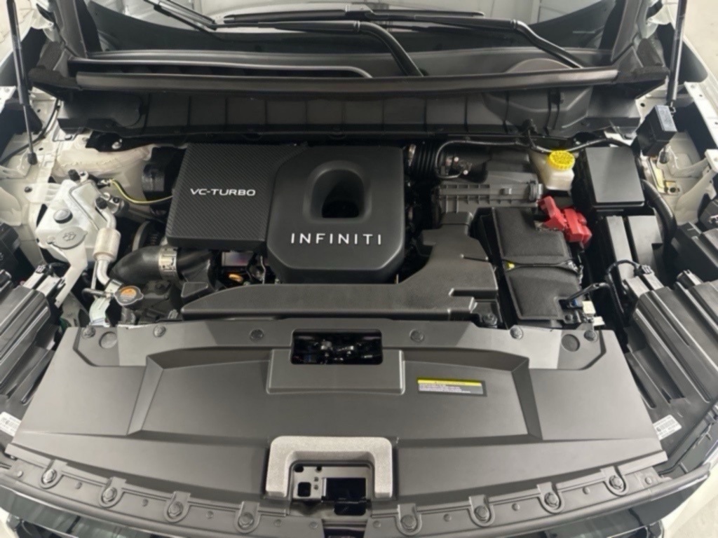 2025 Infiniti QX60 Luxe photo 31
