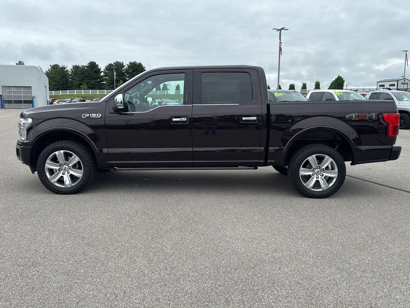 2020 Ford F-150 Platinum photo 3