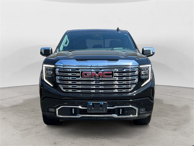 2024 Gmc Sierra 1500 Denali photo 8