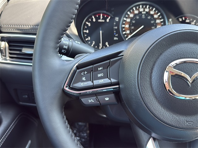 2025 Mazda CX-5 2.5 Premium Plus photo 9
