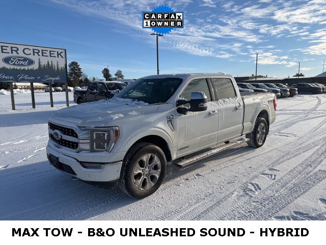 Used 2022 Ford F-150 Platinum with VIN 1FTFW1ED2NFB49427 for sale in Pine River, Minnesota