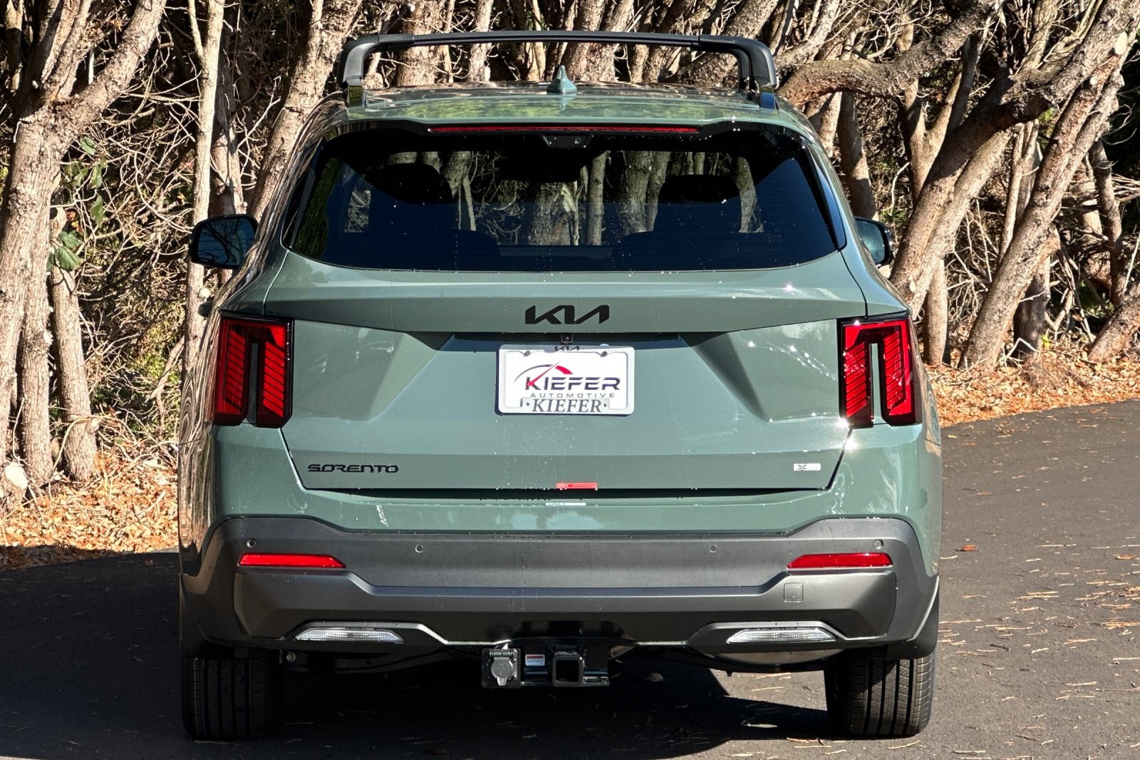 2026 Kia Sorento Plug-In Hybrid SX Prestige photo 3