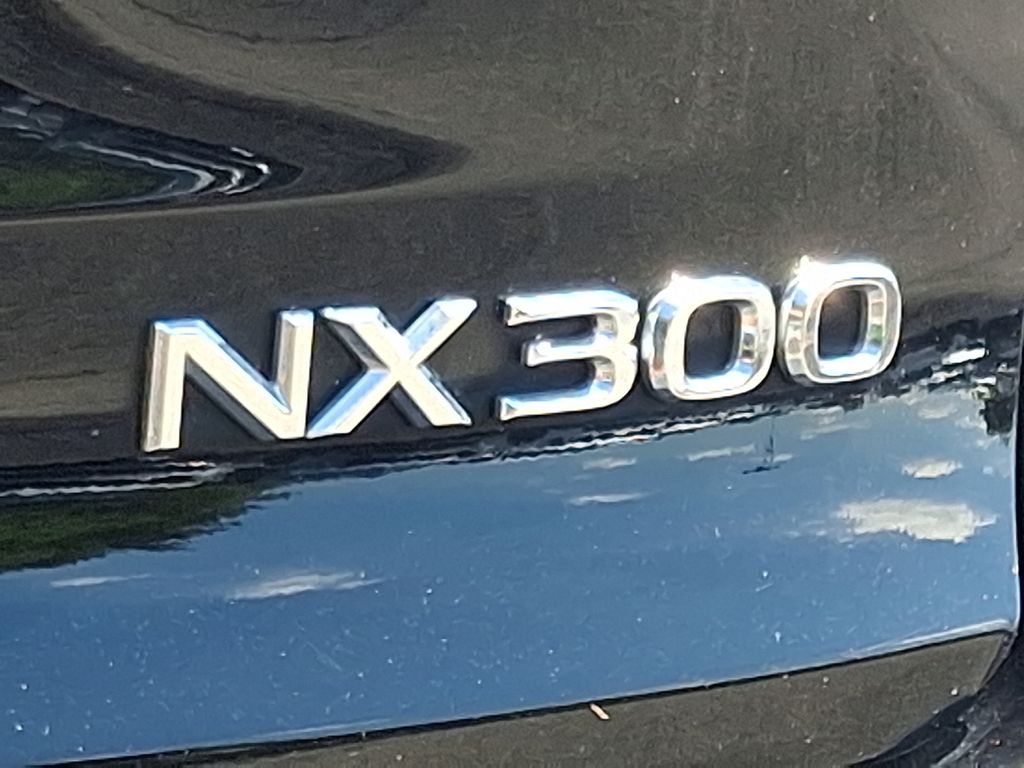 2020 Lexus NX 300 F SPORT photo 27