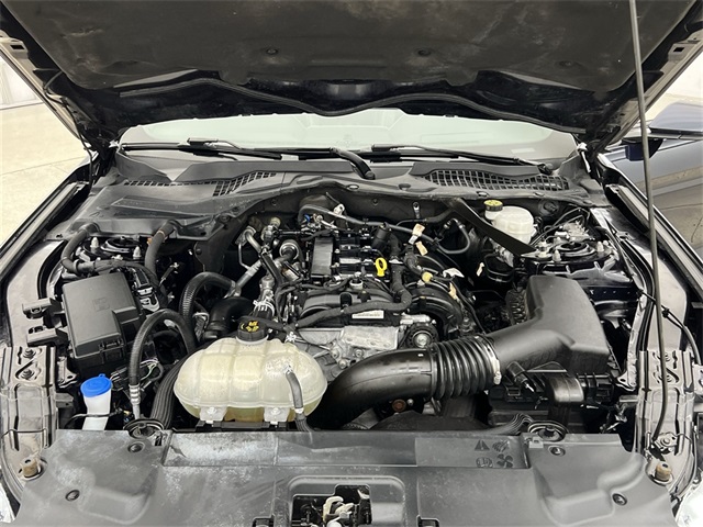 View 36