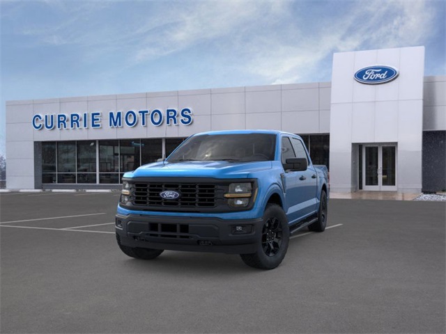 2025 FORD F-150 - Image 24