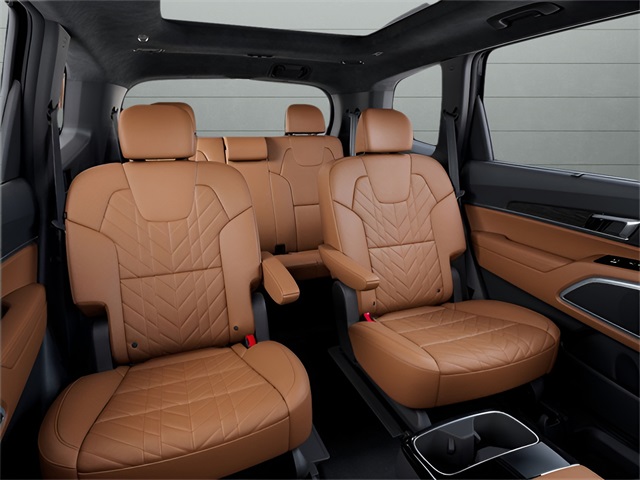 2025 Kia Telluride X-Pro photo 13