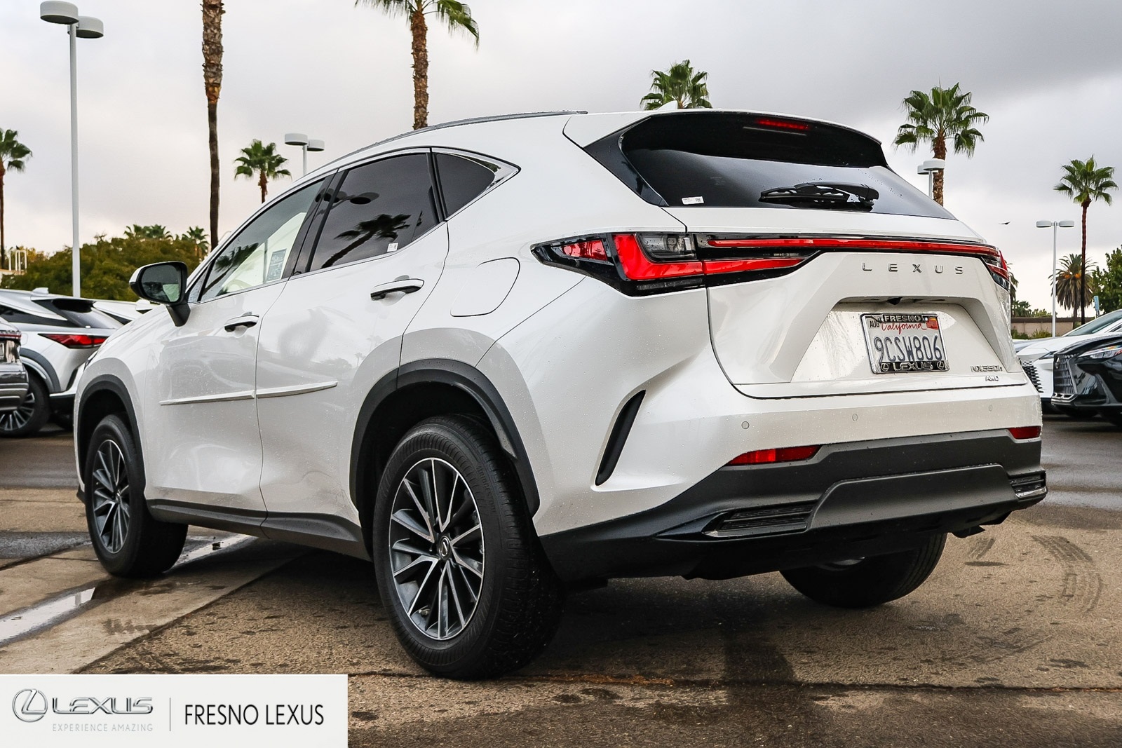 2022 Lexus NX 350h Premium photo 3