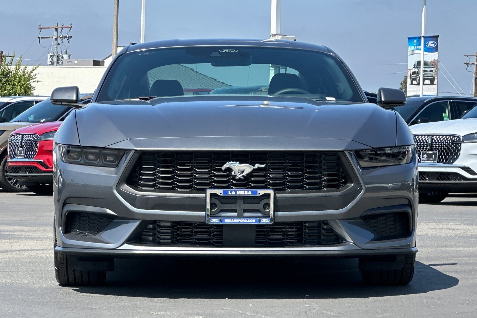 2025 Ford Mustang EcoBoost Premium photo 8