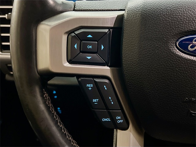 2020 Ford F-150 Platinum photo 13