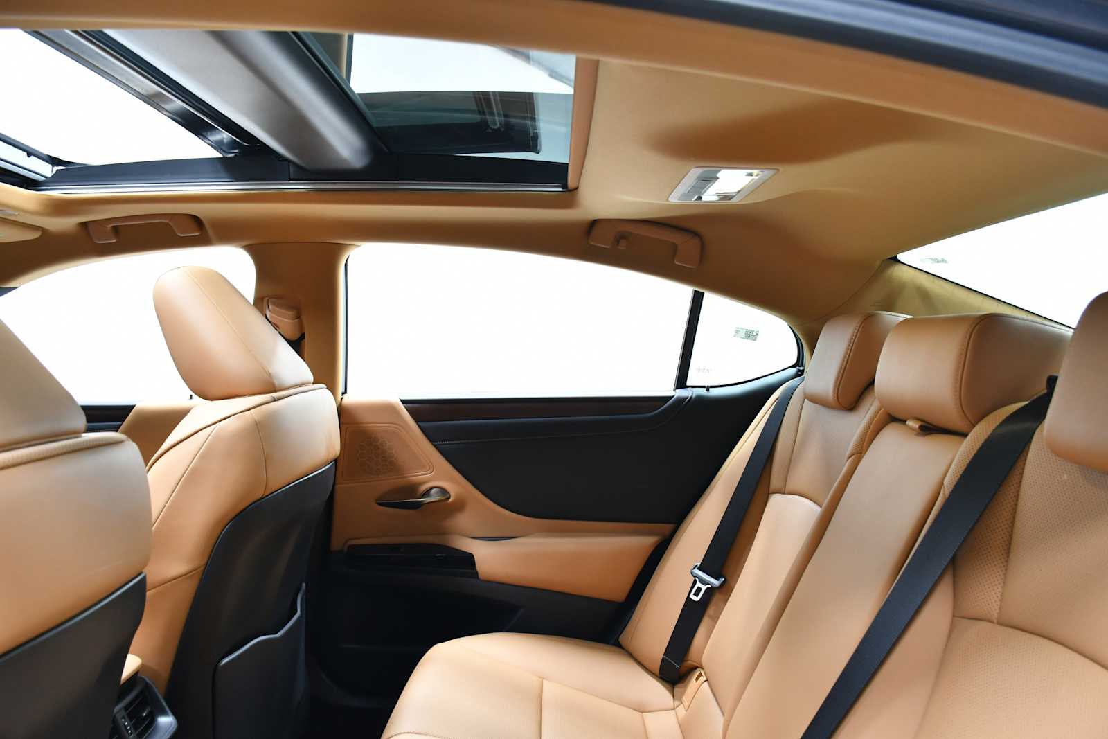 2024 Lexus ES 350 Premium photo 12