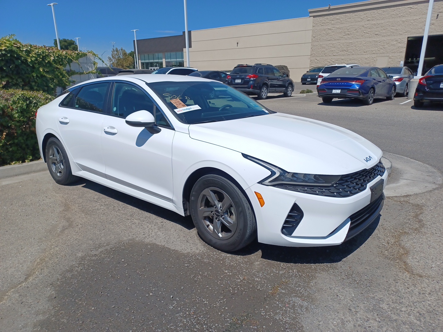 2023 Kia K5 LXS photo 2
