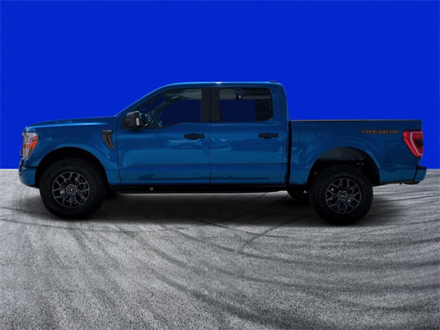 2021 Ford F-150 Tremor photo 6
