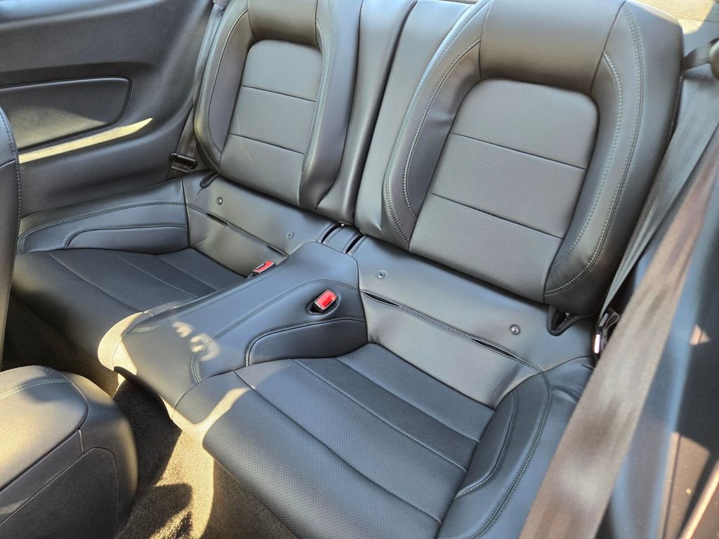 2019 Ford Mustang Bullitt photo 11