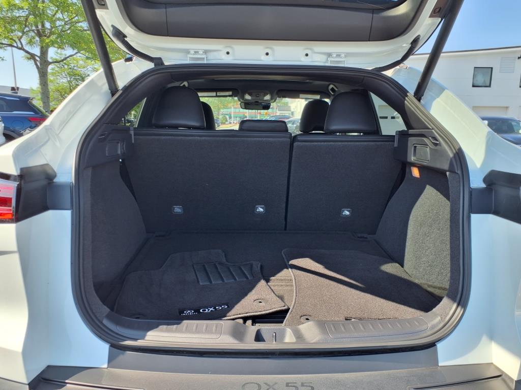 2025 Infiniti QX55 Luxe photo 15