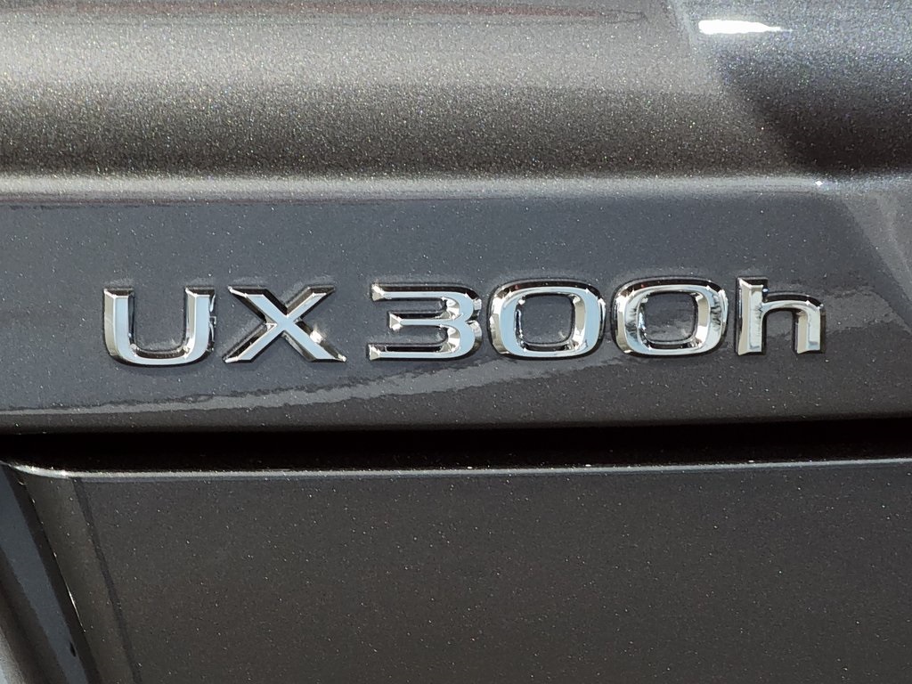 2025 Lexus UX photo 9