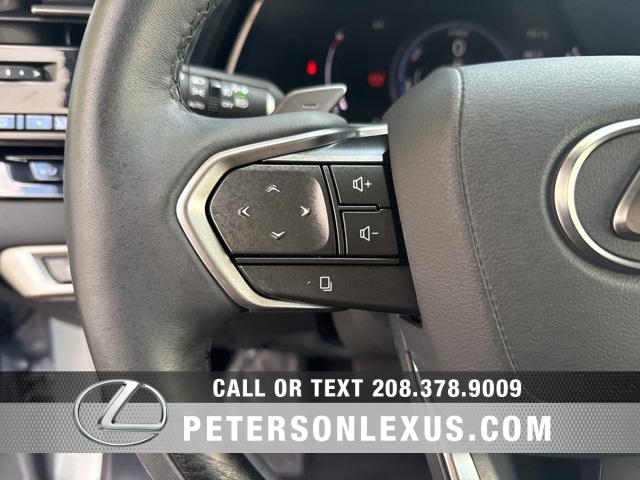 2024 Lexus RX 350h Luxury photo 25