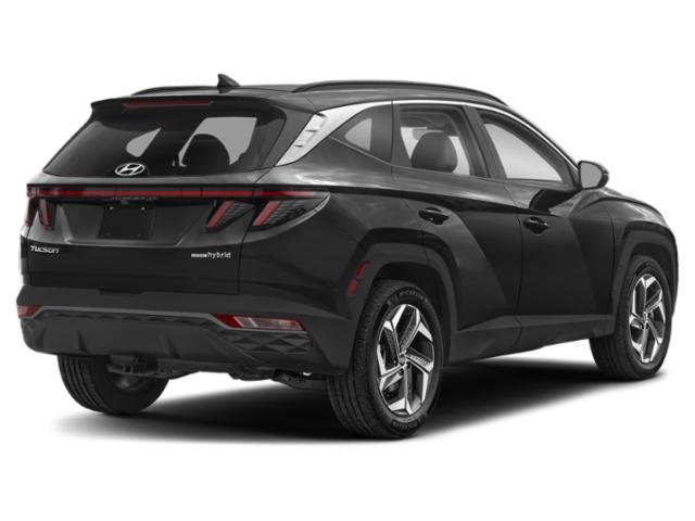 Certified 2024 Hyundai Tucson SEL Convenience with VIN KM8JCCD13RU234103 for sale in Burnsville, Minnesota