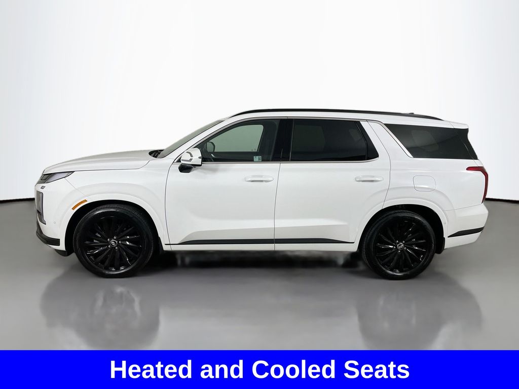 2025 Hyundai Palisade Calligraphy photo 2