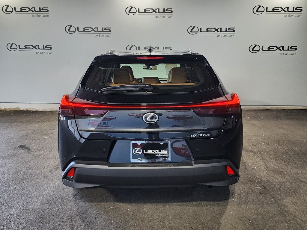 2025 Lexus UX photo 8