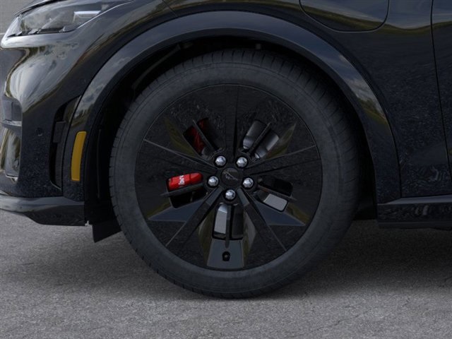 2025 Ford Mustang Mach-E GT photo 16