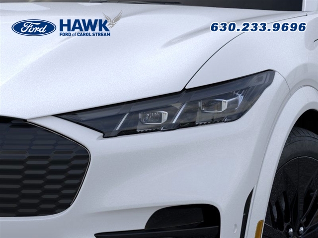 2025 Ford Mustang Mach-E GT photo 15