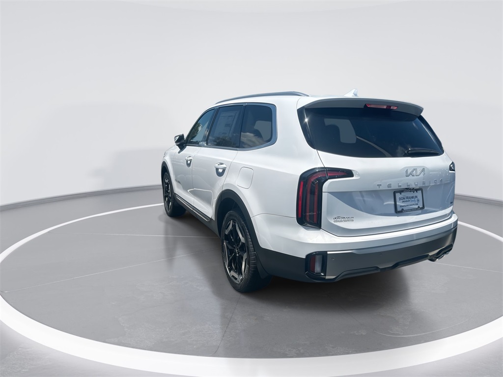 2025 Kia Telluride EX photo 6