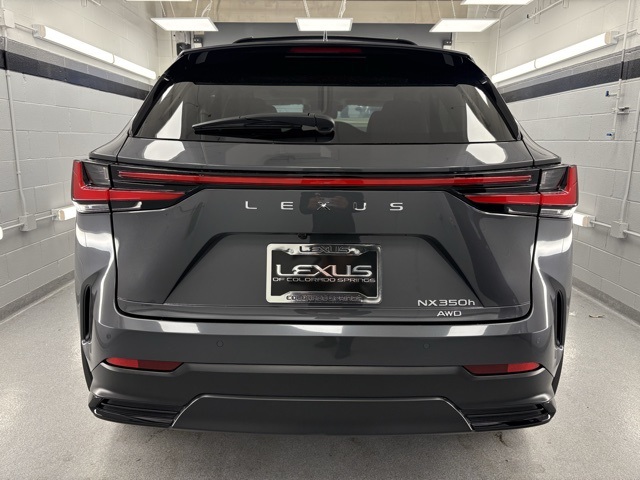 2025 Lexus NX Premium photo 3