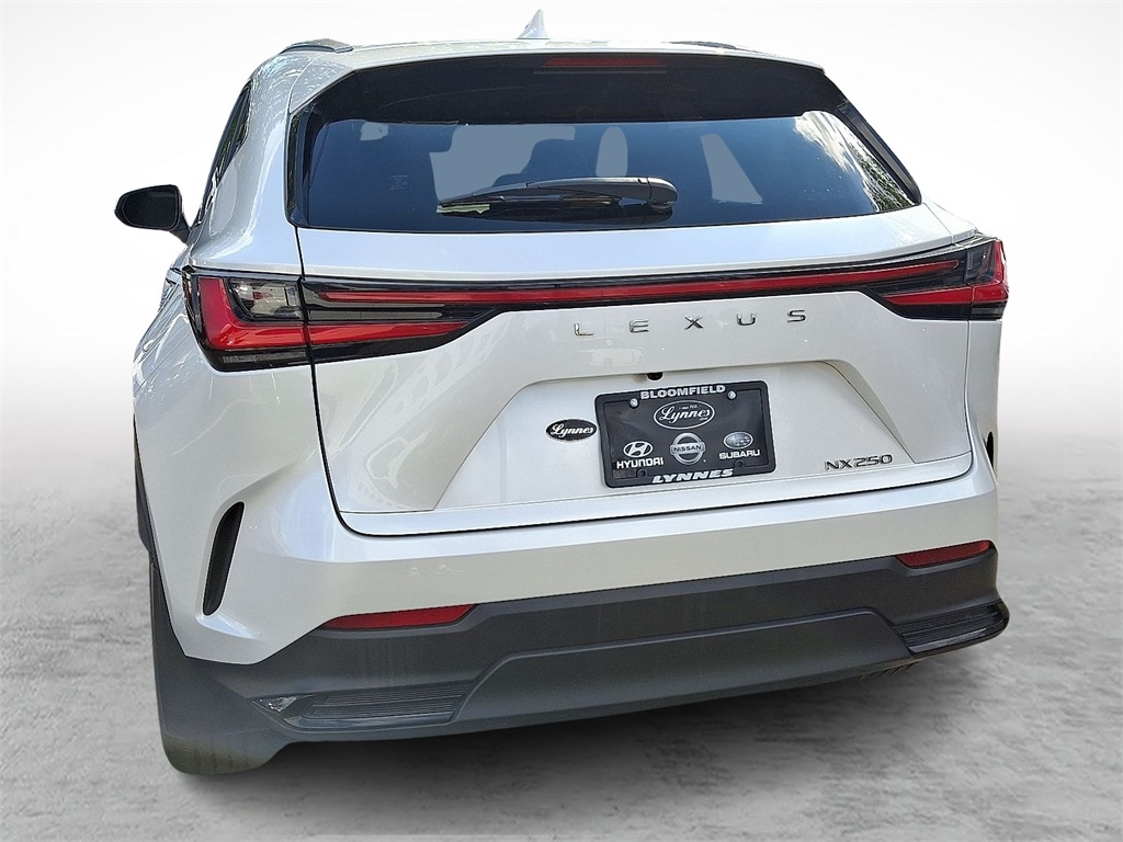 2024 Lexus NX 250 photo 8