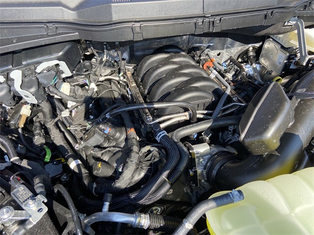 2025 Ford F-150 STX photo 14