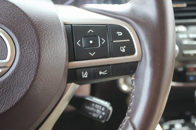 2019 Lexus RX 350L photo 14
