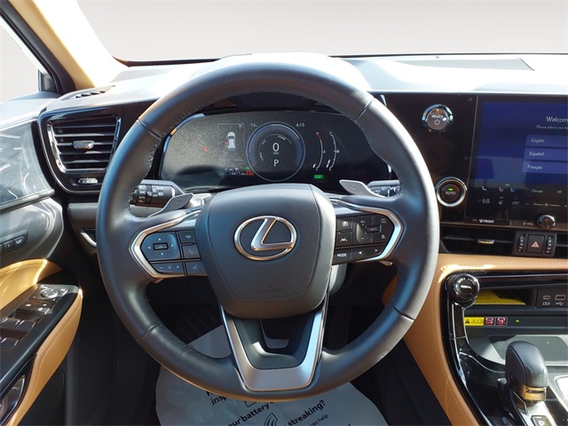2024 Lexus NX 350h Premium photo 12