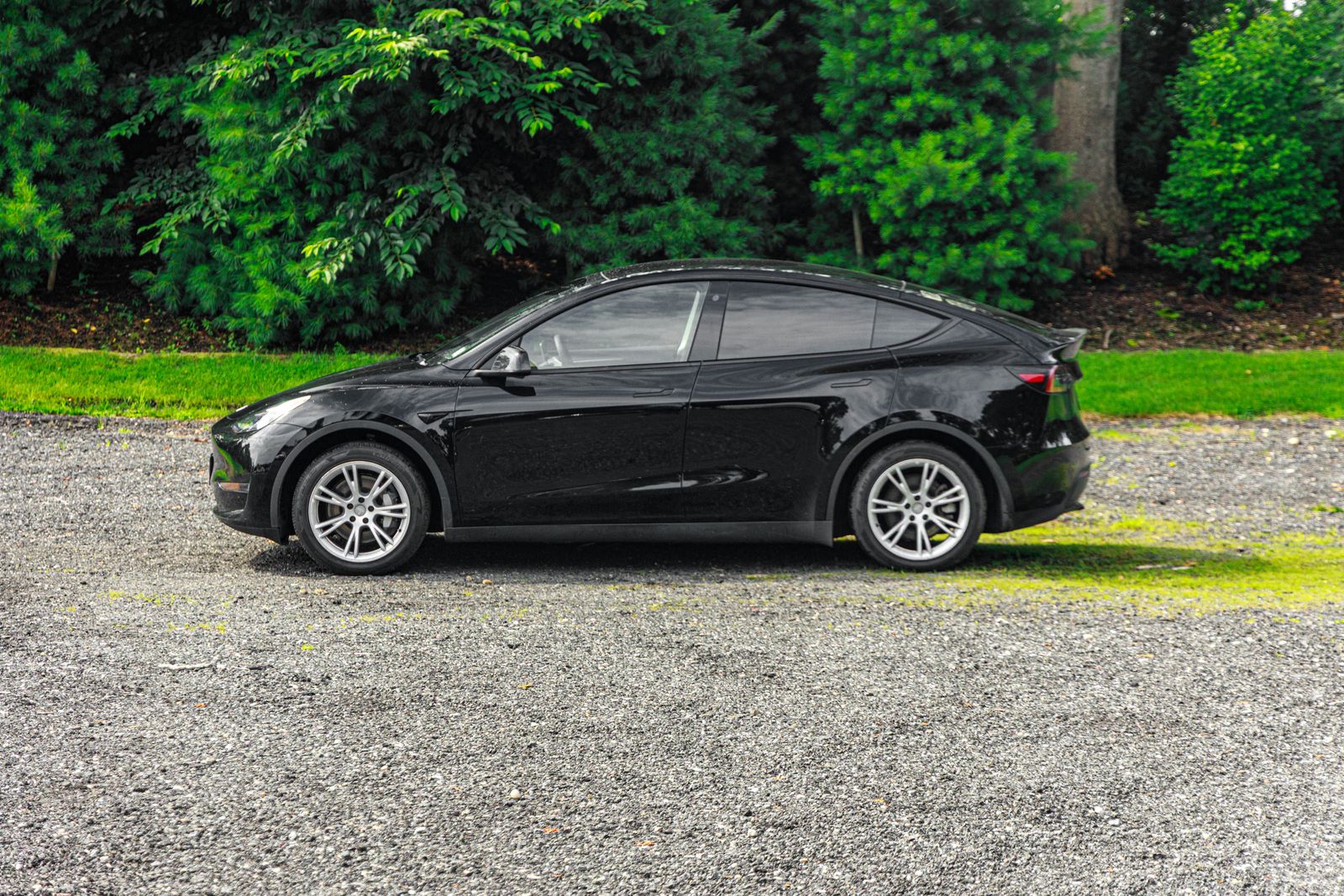 2023 Tesla Model Y Long Range photo 4