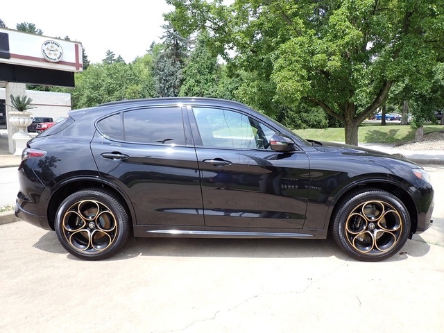 2025 Alfa Romeo Stelvio Sprint Base photo 5