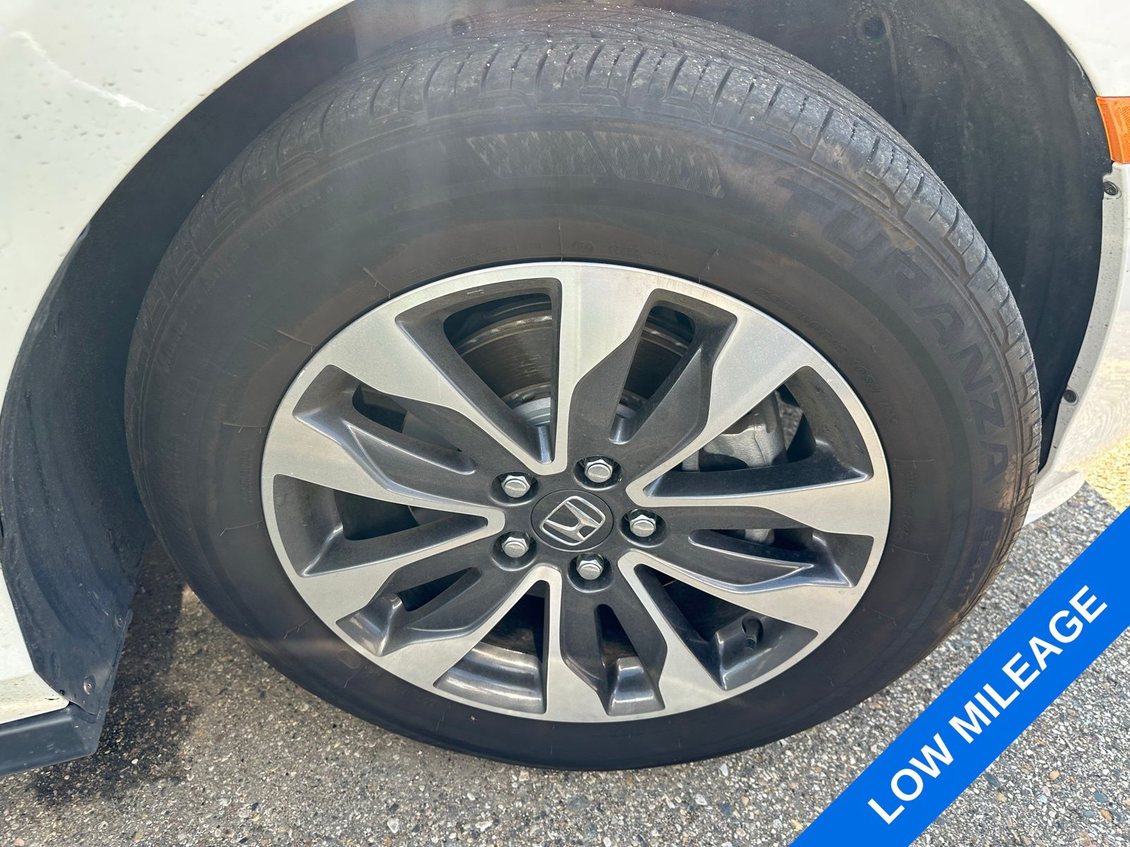 2023 Honda Odyssey EX-L photo 3