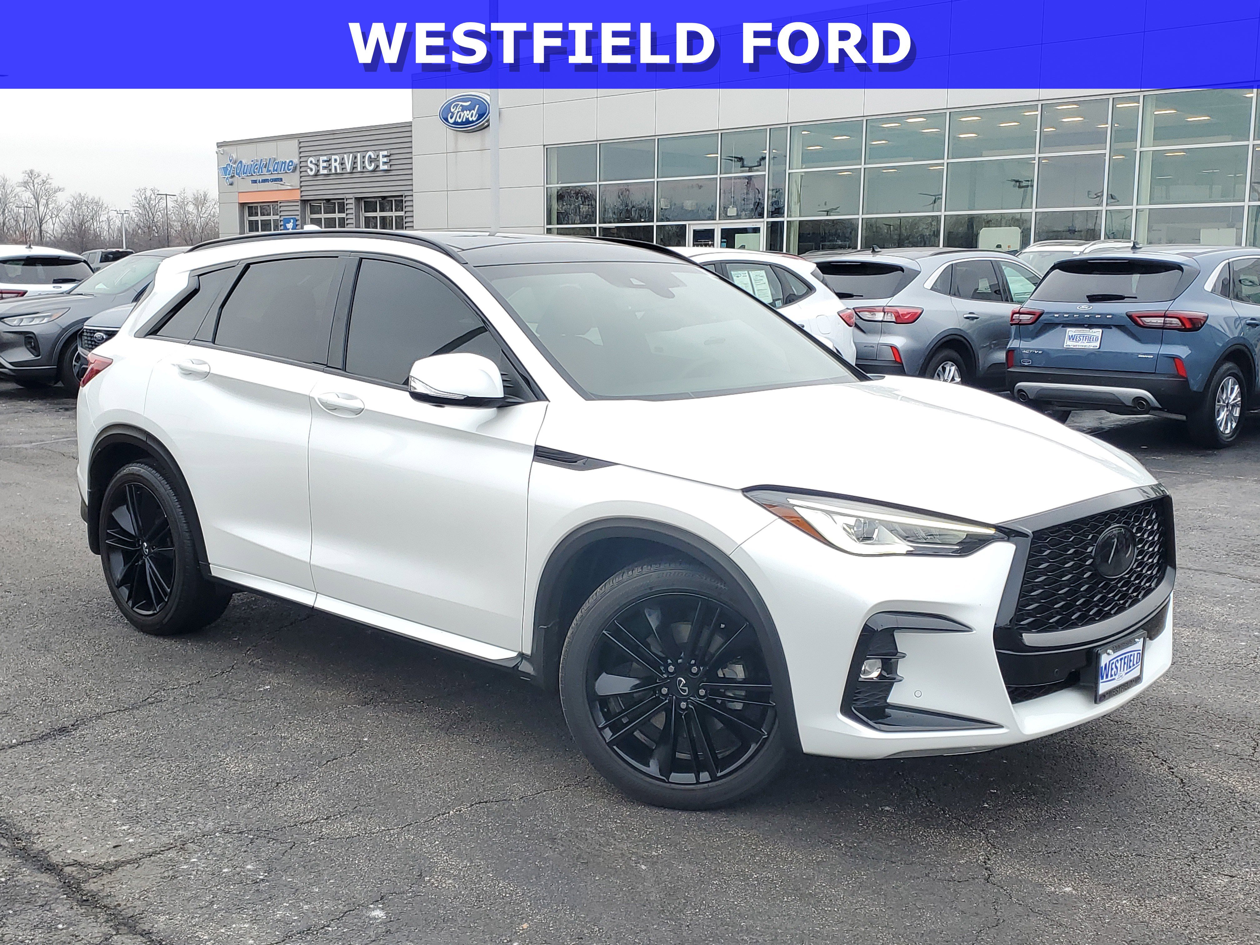 2023 INFINITI QX50 Sport's photo