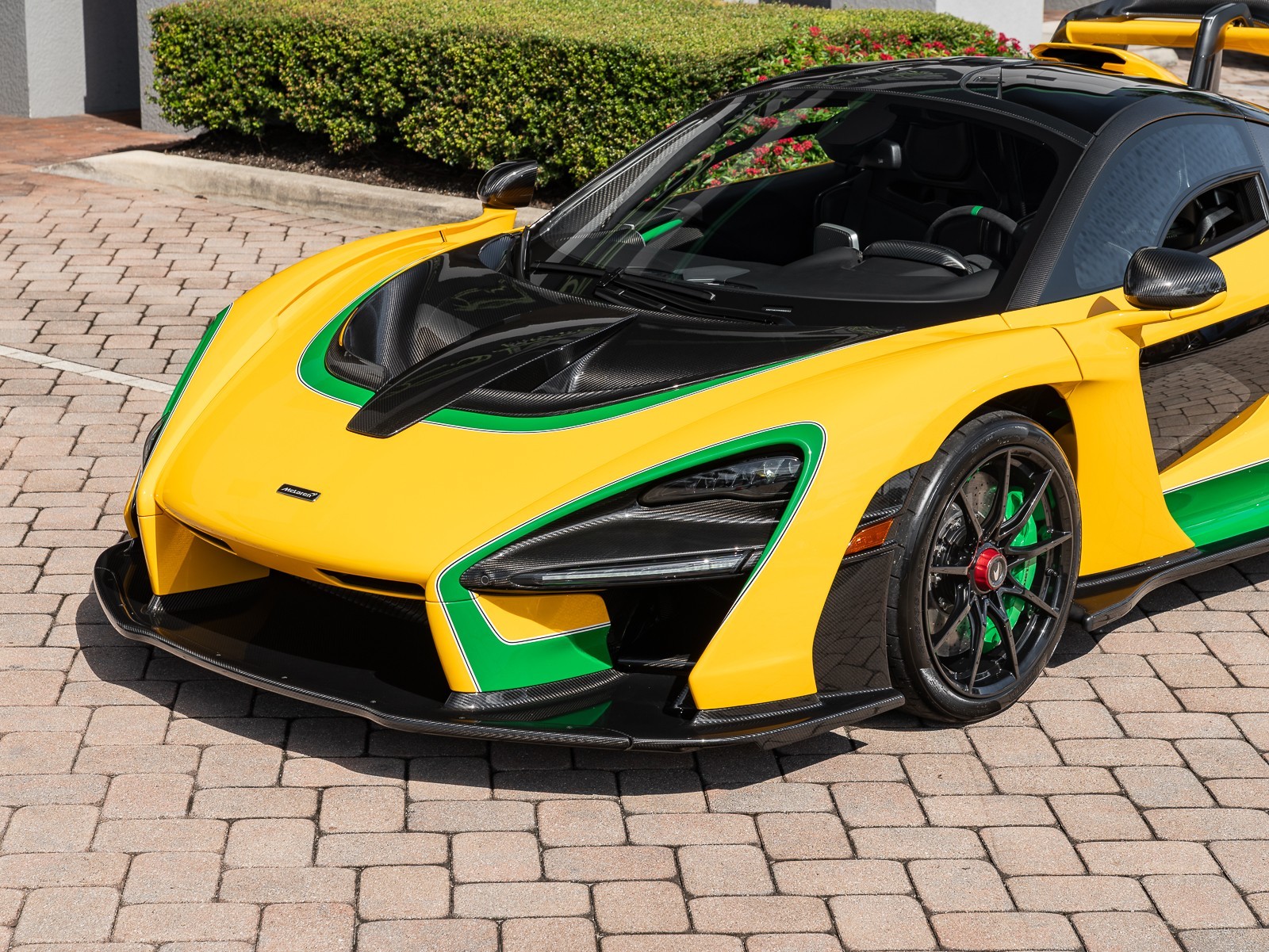 2019 Mclaren SENNA photo 6