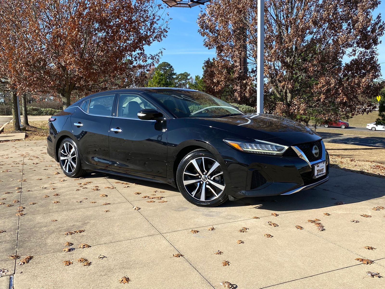 2023 Nissan Maxima SL's photo