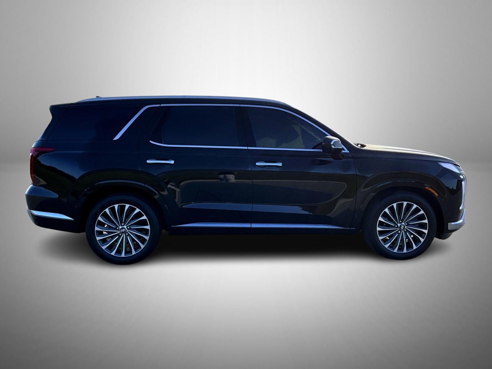 2024 Hyundai Palisade Calligraphy photo 4