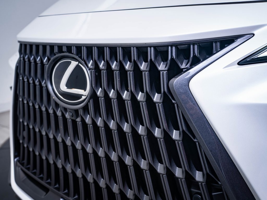 2023 Lexus NX 350 Luxury photo 3