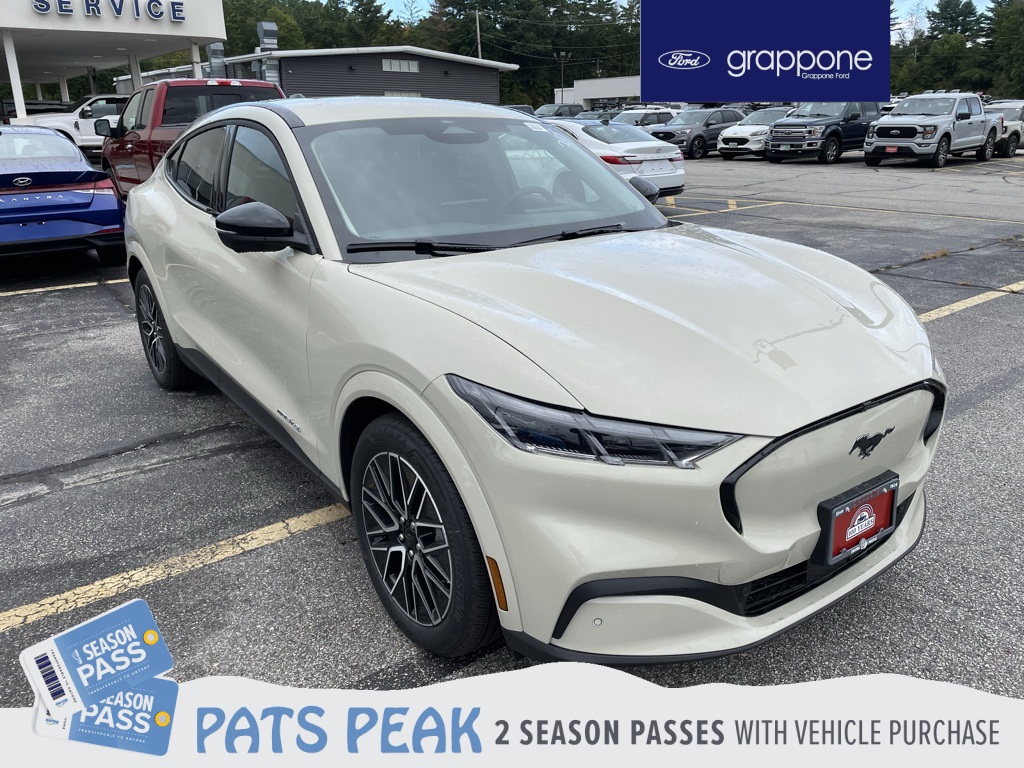 2025 Ford Mustang Mach-E Premium AWD's photo