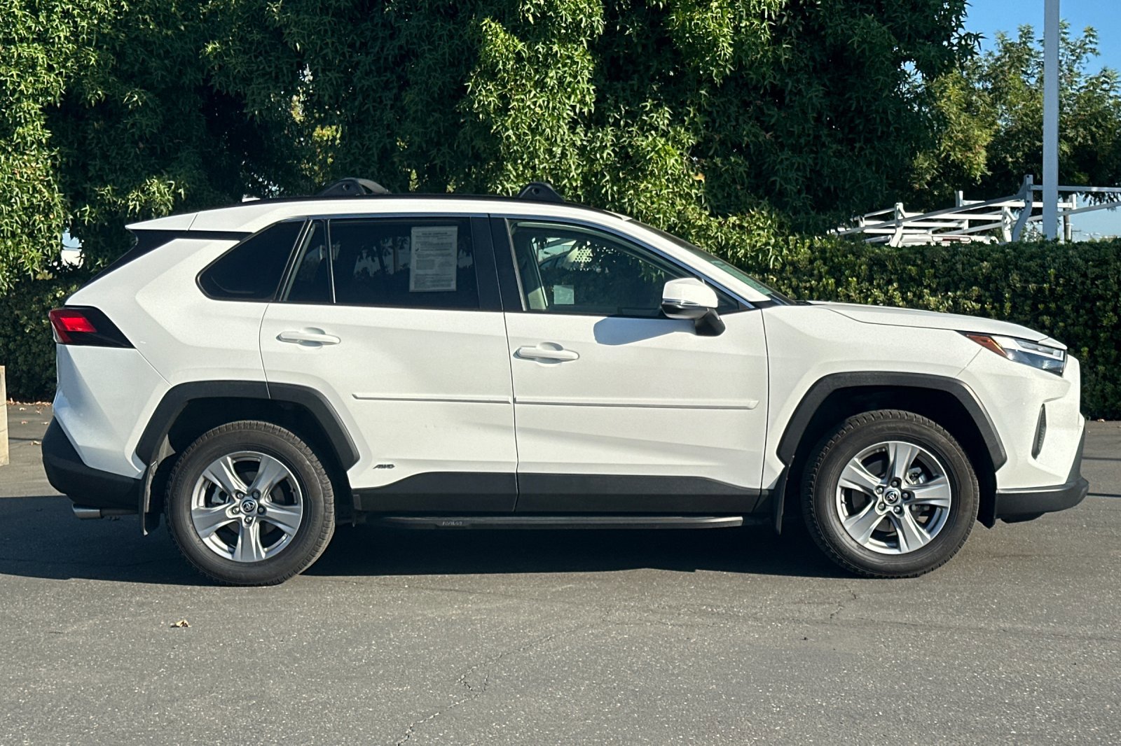 2023 Toyota RAV4 Hybrid LE photo 3