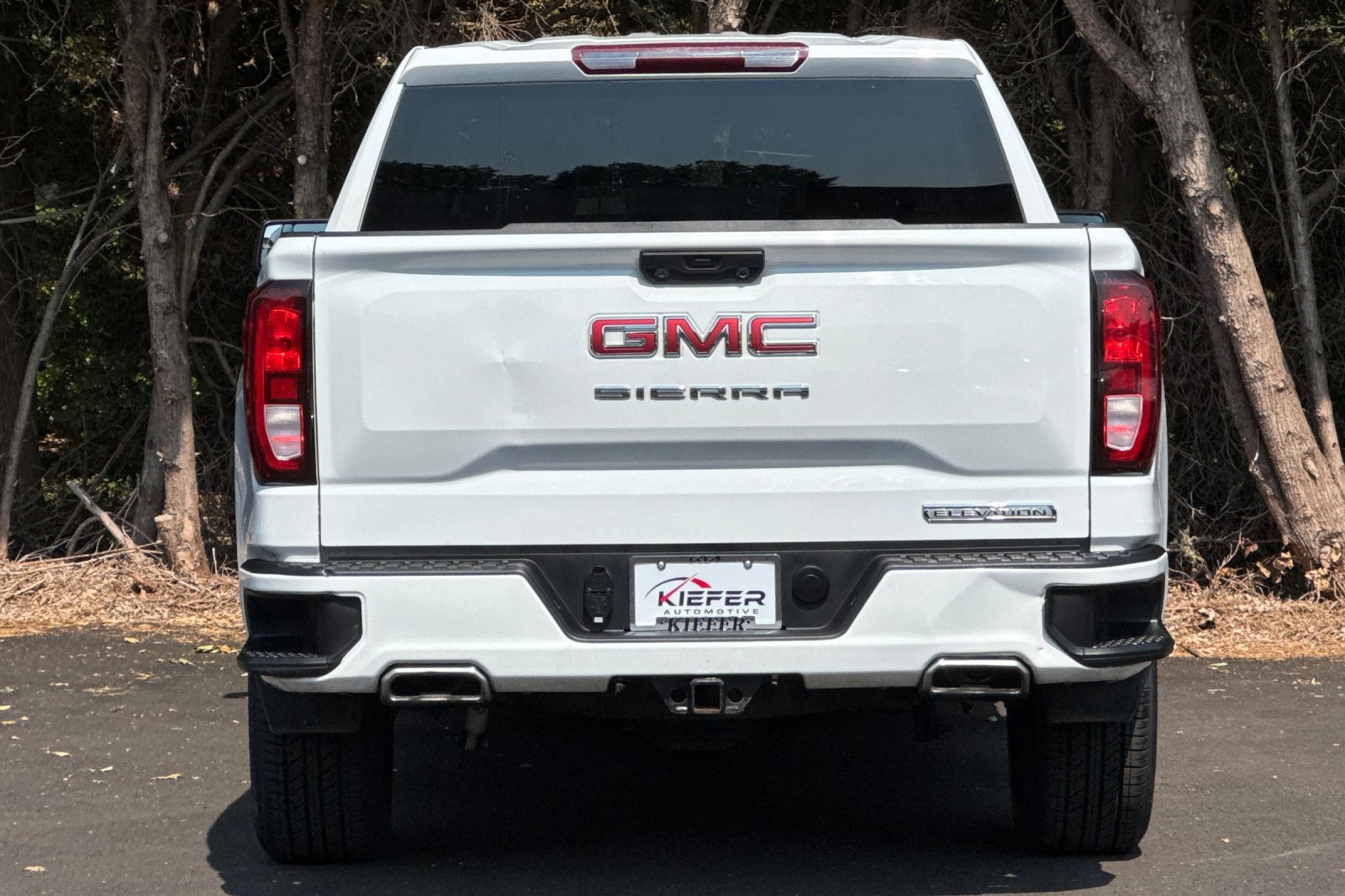 2023 Gmc Sierra 1500 Elevation photo 5