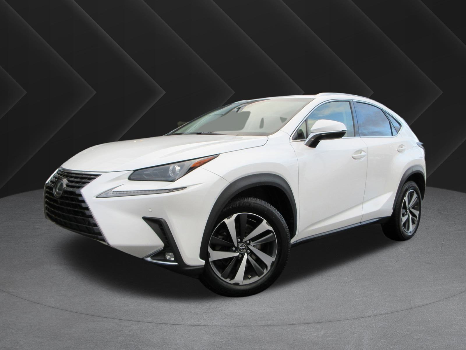 2018 Lexus NX 300's photo