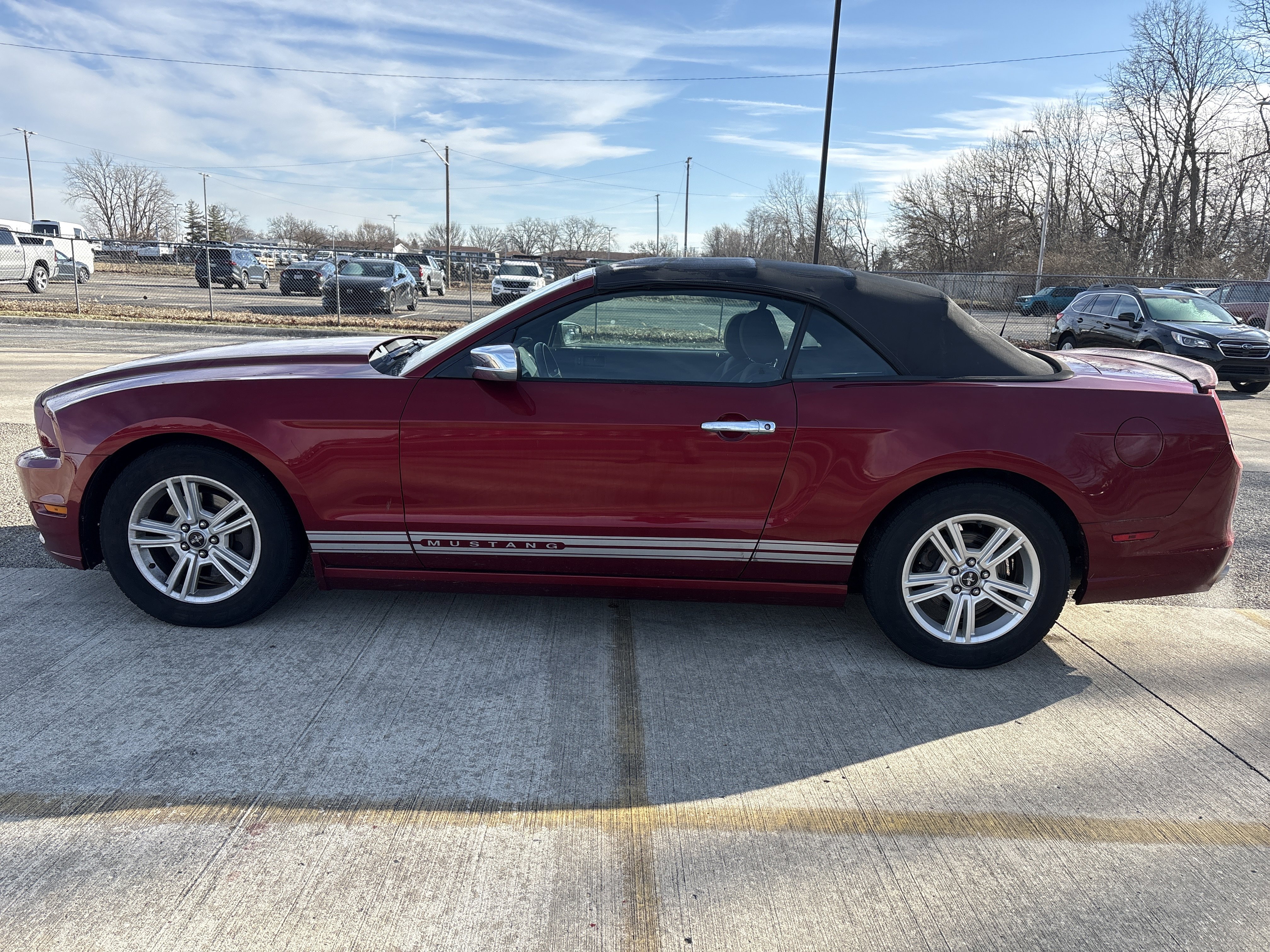 2014 Ford Mustang Premium Fastback's photo