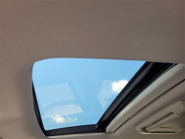 View 5