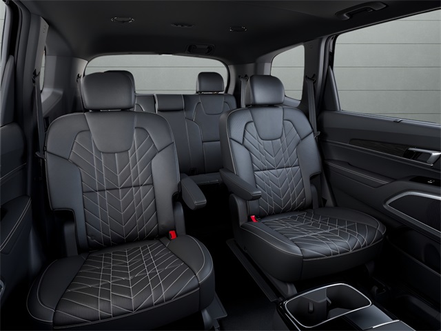 2025 Kia Telluride EX X-Line photo 10