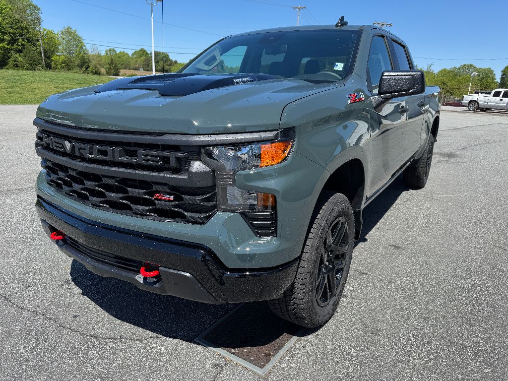 New 2025 Cypress Gray Chevrolet Custom Trail Boss image 1
