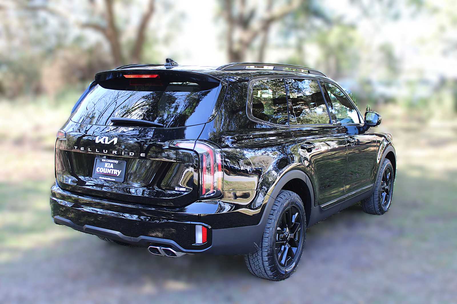 2025 Kia Telluride SX X-Line photo 3
