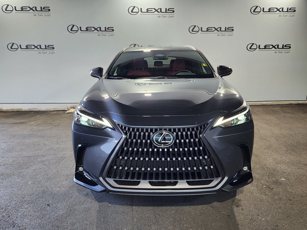 2025 Lexus NX 250 photo 2