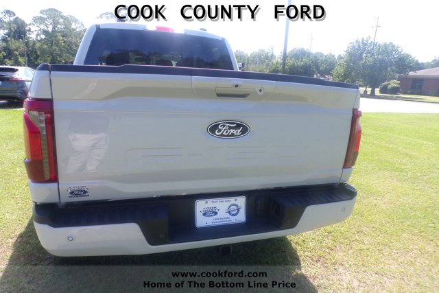 2025 Ford F-150 XLT photo 5